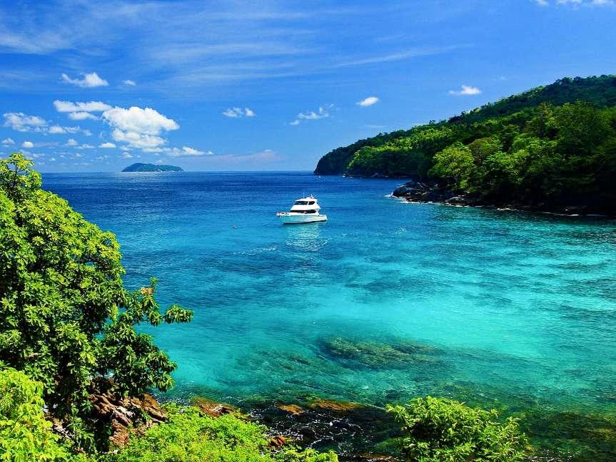 逃离大犀牛出没地
