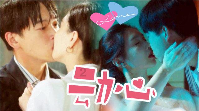 小猫钓鱼正版下载中文版