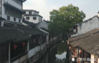 雨后盛放